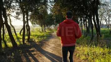 Free download Jogging In The Park Stock Video video and edit with RedcoolMedia movie maker MovieStudio video editor online and AudioStudio audio editor onlin