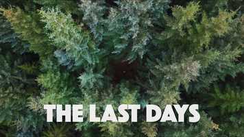 Free download Last_Days_Trailer video and edit with RedcoolMedia movie maker MovieStudio video editor online and AudioStudio audio editor onlin