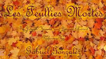 Free download Les Feullies Mortes - Autumn Leaves video and edit with RedcoolMedia movie maker MovieStudio video editor online and AudioStudio audio editor onlin