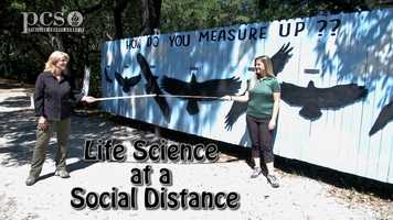 Free download Life Science at a Social Distance-Hawks-Part 1 Science Rocks April 2020 video and edit with RedcoolMedia movie maker MovieStudio video editor online and AudioStudio audio editor onlin