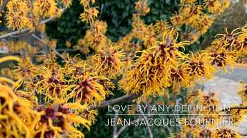 Free download Love by any Definition. A Collection of Love poems by Jean-Jacques Fournier video and edit with RedcoolMedia movie maker MovieStudio video editor online and AudioStudio audio editor onlin