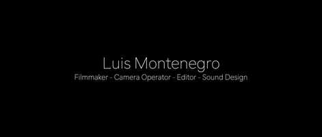 Free download LuisMontenegro - DemoReel 2020 video and edit with RedcoolMedia movie maker MovieStudio video editor online and AudioStudio audio editor onlin