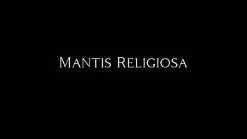 Free download MANTIS RELIGIOSA  - Trailer video and edit with RedcoolMedia movie maker MovieStudio video editor online and AudioStudio audio editor onlin