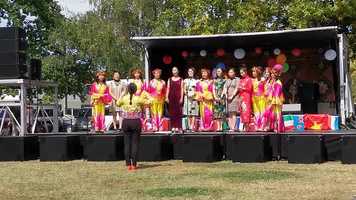 Free download Marlborough Multicultural Festival 2020: Song Me and My Country video and edit with RedcoolMedia movie maker MovieStudio video editor online and AudioStudio audio editor onlin