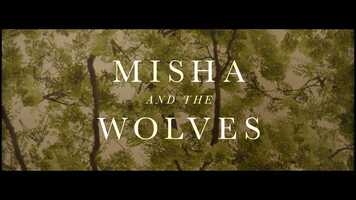 Free download Misha And The Wolves (2021) Trailer video and edit with RedcoolMedia movie maker MovieStudio video editor online and AudioStudio audio editor onlin