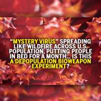 Free download Mystery virus spreading like wildfire across U.S. population, putting people in bed for a MONTH video and edit with RedcoolMedia movie maker MovieStudio video editor online and AudioStudio audio editor onlin