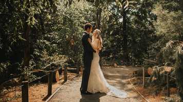 Free download Natasha  Adams Wedding at the Brooklyn Botanic Garden in New York video and edit with RedcoolMedia movie maker MovieStudio video editor online and AudioStudio audio editor onlin
