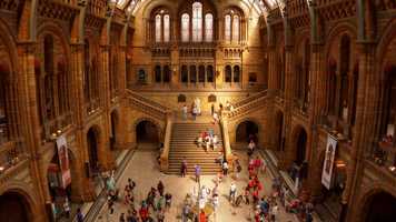 Free download Natural History Museum Indoor Timelapse video and edit with RedcoolMedia movie maker MovieStudio video editor online and AudioStudio audio editor onlin