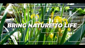 Free download NATURE.AVS.FINAL.mp4 video and edit with RedcoolMedia movie maker MovieStudio video editor online and AudioStudio audio editor onlin