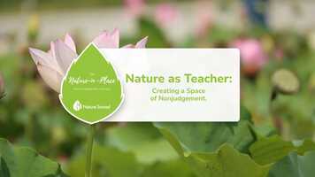 Free download Nature Sacred Guide | Nature at Teacher Part 2 video and edit with RedcoolMedia movie maker MovieStudio video editor online and AudioStudio audio editor onlin