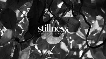 Free download No.1 Stillness. video and edit with RedcoolMedia movie maker MovieStudio video editor online and AudioStudio audio editor onlin