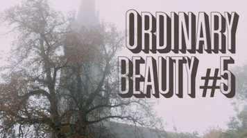 Free download Ordinary Beauty #5 - A musical clip video and edit with RedcoolMedia movie maker MovieStudio video editor online and AudioStudio audio editor onlin