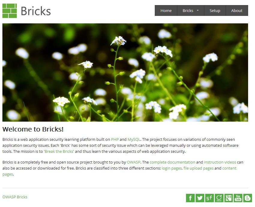 Download web tool or web app OWASP Bricks