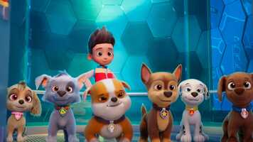 Free download Paw Patrol with Marsai Martin video and edit with RedcoolMedia movie maker MovieStudio video editor online and AudioStudio audio editor onlin