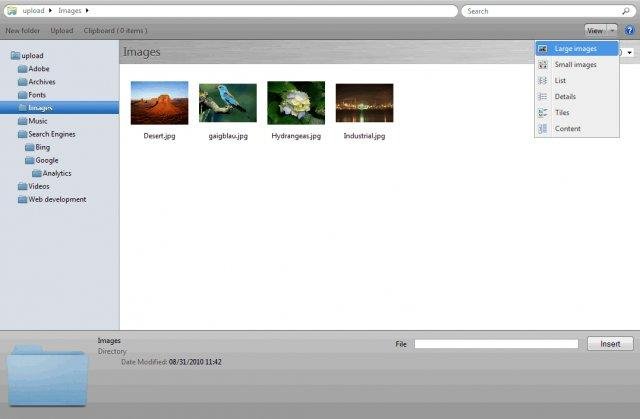 Download web tool or web app PDW File Browser for TinyMCE  CKEditor