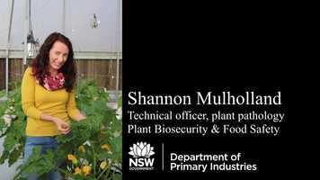 Free download PLANT X - Vile viruses: presenter Shannon Mulholland video and edit with RedcoolMedia movie maker MovieStudio video editor online and AudioStudio audio editor onlin