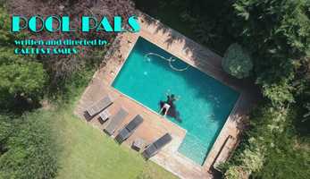 Free download POOL PALS video and edit with RedcoolMedia movie maker MovieStudio video editor online and AudioStudio audio editor onlin