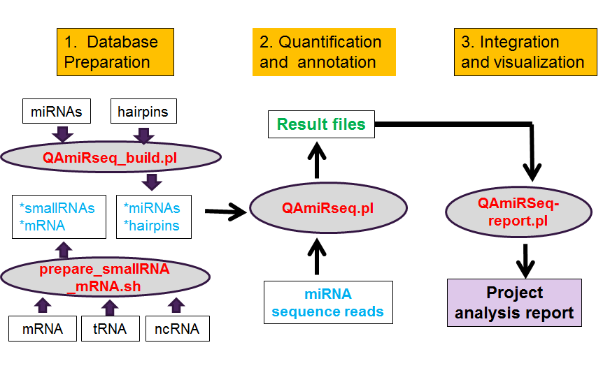 Download web tool or web app QAmiRSeq