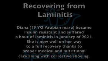 Free download Recovery From Laminitis video and edit with RedcoolMedia movie maker MovieStudio video editor online and AudioStudio audio editor onlin