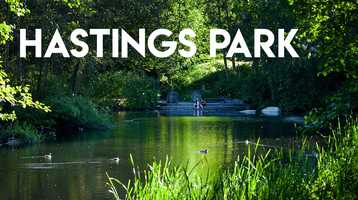 Free download Relaxing Vancouver | Midday Stroll Around Hastings Park video and edit with RedcoolMedia movie maker MovieStudio video editor online and AudioStudio audio editor onlin