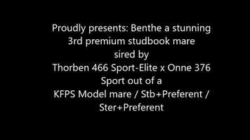 Free download Running free video of Benthe - Sired by Thorben 466 Sport-Elite x Onne 376 Sport video and edit with RedcoolMedia movie maker MovieStudio video editor online and AudioStudio audio editor onlin