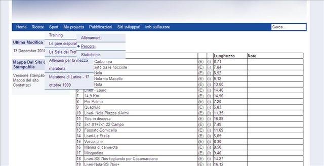 Download web tool or web app RUNSimple (beta)