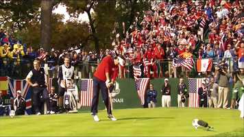 Free download Ryder Cup Generic video and edit with RedcoolMedia movie maker MovieStudio video editor online and AudioStudio audio editor onlin