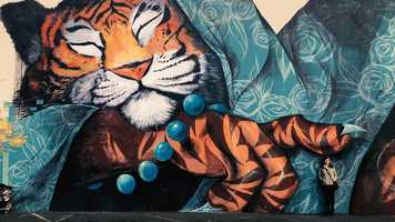 Free download Sacramento Mural Walk (Jan 2019) video and edit with RedcoolMedia movie maker MovieStudio video editor online and AudioStudio audio editor onlin