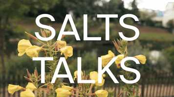 Free download SALTS TALKS: Artist Cassidy Toner  A show curated by my dog Boh video and edit with RedcoolMedia movie maker MovieStudio video editor online and AudioStudio audio editor onlin