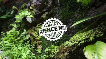 Free download Science Mill Branding video and edit with RedcoolMedia movie maker MovieStudio video editor online and AudioStudio audio editor onlin