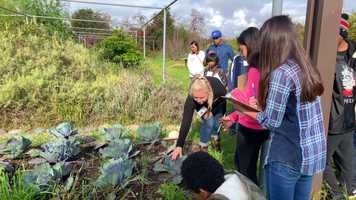 Free download Science: Urban Farms  Cooking video and edit with RedcoolMedia movie maker MovieStudio video editor online and AudioStudio audio editor onlin