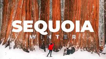 Free download SEQUOIA National Park in Winter video and edit with RedcoolMedia movie maker MovieStudio video editor online and AudioStudio audio editor onlin