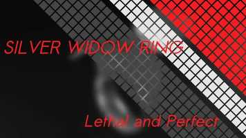 Free download Silver Widow Ring video and edit with RedcoolMedia movie maker MovieStudio video editor online and AudioStudio audio editor onlin