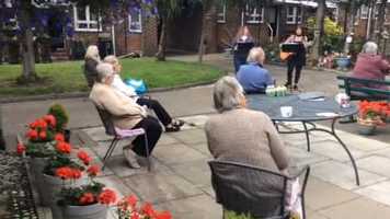 Free download Singing Hinnies with Wood Green this summer video and edit with RedcoolMedia movie maker MovieStudio video editor online and AudioStudio audio editor onlin