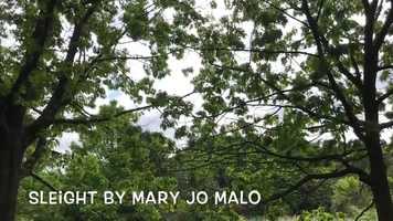 Free download Sleight by Mary Jo Malo, Poet video and edit with RedcoolMedia movie maker MovieStudio video editor online and AudioStudio audio editor onlin