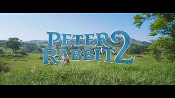 Free download SONY_PETER RABBIT 2_ONLINE6_CINEMA_1920X1080_R709_G2.4_STEREO MIX_TXTD_2398F_SOCIAL.mp4 video and edit with RedcoolMedia movie maker MovieStudio video editor online and AudioStudio audio editor onlin