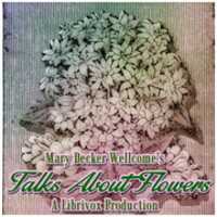 Free download Talks About Flowers audio book and edit with RedcoolMedia movie maker MovieStudio video editor online and AudioStudio audio editor onlin