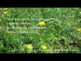 Free download Tell all the Truth but tell it slant ― (Poem and Piano) video and edit with RedcoolMedia movie maker MovieStudio video editor online and AudioStudio audio editor onlin