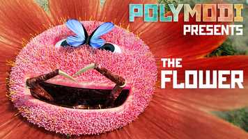 Free download The Flower | Polymodi Animation video and edit with RedcoolMedia movie maker MovieStudio video editor online and AudioStudio audio editor onlin