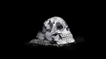 Free download The Human Skull Collapses | Motion Graphics - Videohive template video and edit with RedcoolMedia movie maker MovieStudio video editor online and AudioStudio audio editor onlin