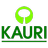 Free download The Kauriproject Web app or web tool