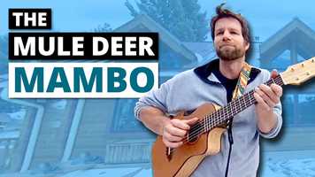 Free download The Mule Deer Mambo (360 Music Video) video and edit with RedcoolMedia movie maker MovieStudio video editor online and AudioStudio audio editor onlin