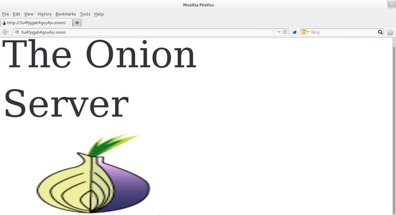 Download web tool or web app The Onion Server