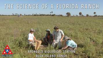 Free download The Science of a Florida Ranch (Trailer) video and edit with RedcoolMedia movie maker MovieStudio video editor online and AudioStudio audio editor onlin