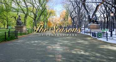 Free download The Seasons of Central Park - 8K video and edit with RedcoolMedia movie maker MovieStudio video editor online and AudioStudio audio editor onlin