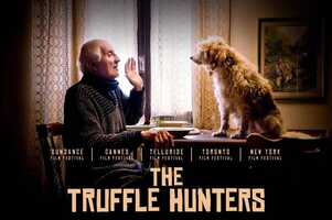 Free download The Truffle Hunters _ BFS video and edit with RedcoolMedia movie maker MovieStudio video editor online and AudioStudio audio editor onlin