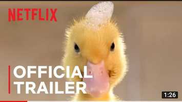 Free download Tiny Creatures Officer Trailer Netflix video and edit with RedcoolMedia movie maker MovieStudio video editor online and AudioStudio audio editor onlin