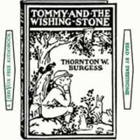 Free download Tommy and the Wishing Stone audio book and edit with RedcoolMedia movie maker MovieStudio video editor online and AudioStudio audio editor onlin