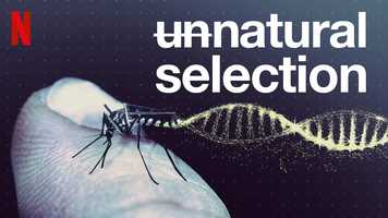 Free download Unnatural Selection- Trailer video and edit with RedcoolMedia movie maker MovieStudio video editor online and AudioStudio audio editor onlin