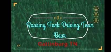 Free download Video Eight of the NTL Family Reunion Road Trip day four  Gatlinburg TN Roaring Driving Tour Bear Sighting video and edit with RedcoolMedia movie maker MovieStudio video editor online and AudioStudio audio editor onlin